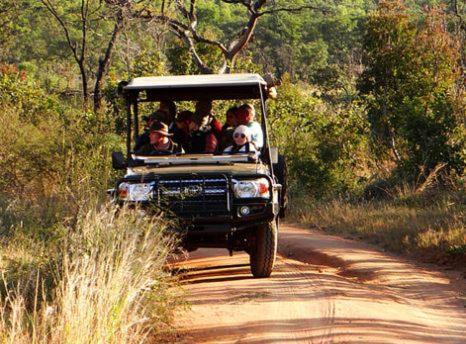 Metsi Lodge Welgevonden Game Reserve Luaran gambar