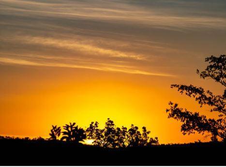 Metsi Lodge Welgevonden Game Reserve Luaran gambar