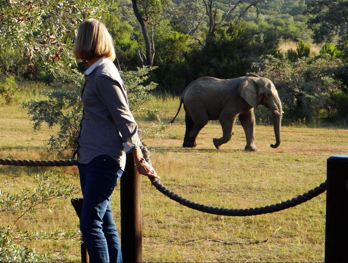 Metsi Lodge Welgevonden Game Reserve Luaran gambar