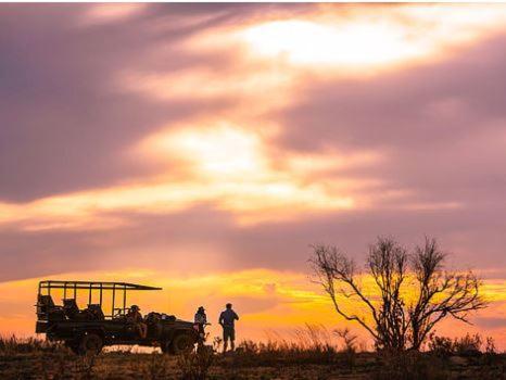 Metsi Lodge Welgevonden Game Reserve Luaran gambar